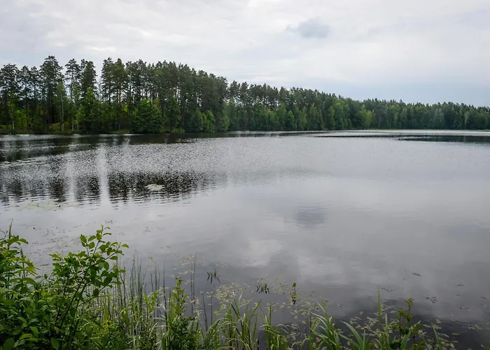 Alberta Diki
